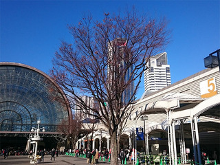 2017011502.jpg